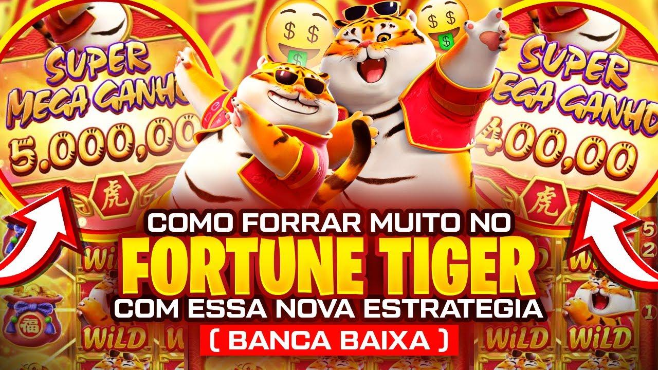 cartela pra bingo imagem de tela 6